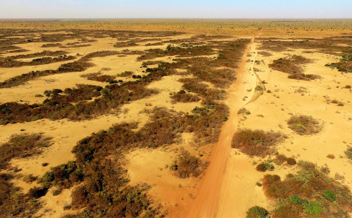 Aerial view of banded tiger bush vegetation in Niger meeting a sparsely vegetated plain